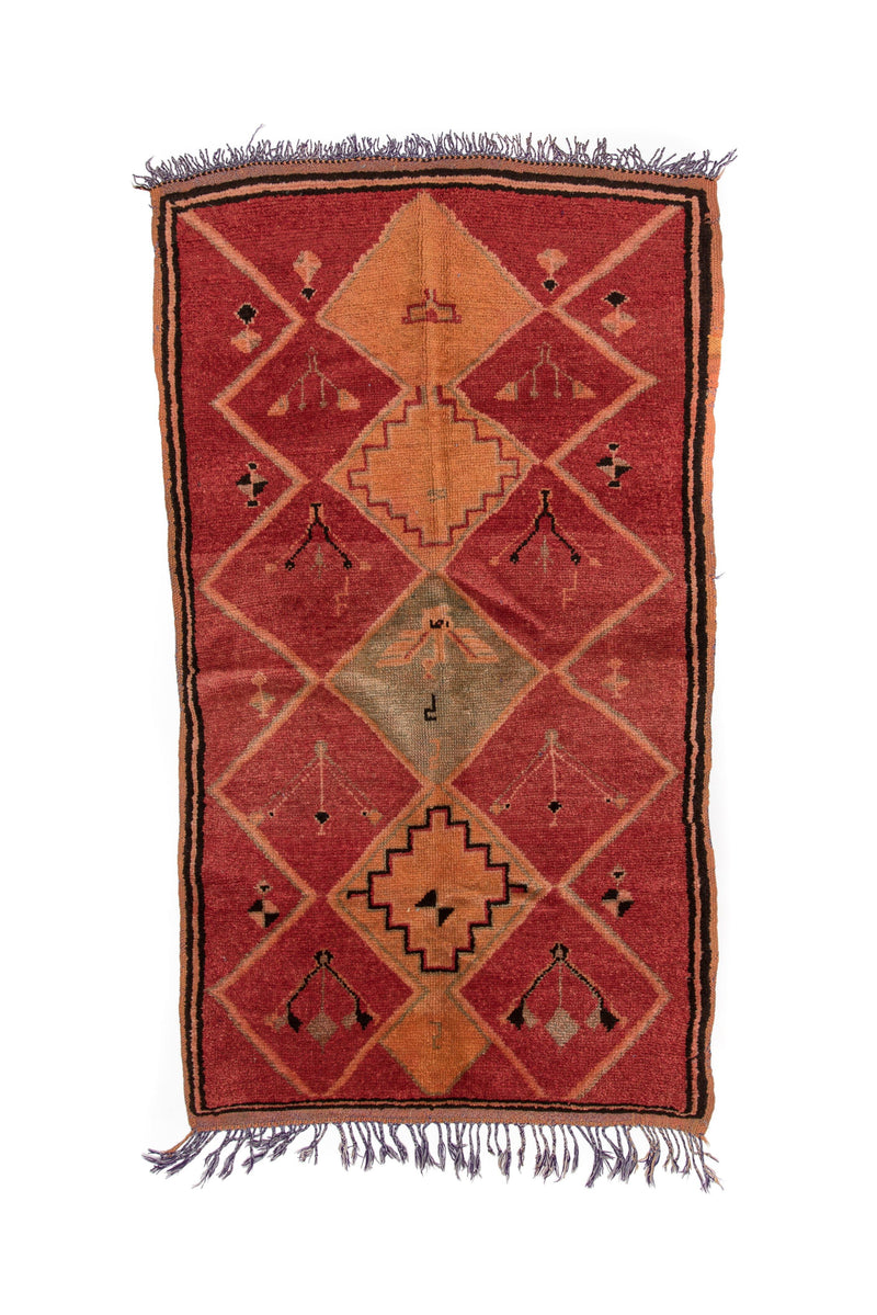 berberology-red-moroccan-accent-rug-3.3' x 6.1'.jpg